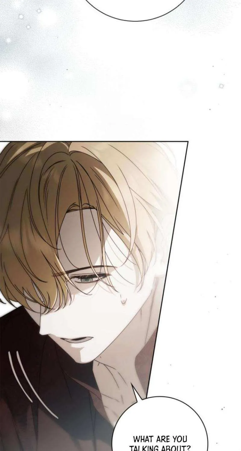 Read The Count’s Secret Maid chapter 42 image 74 on Lezhin