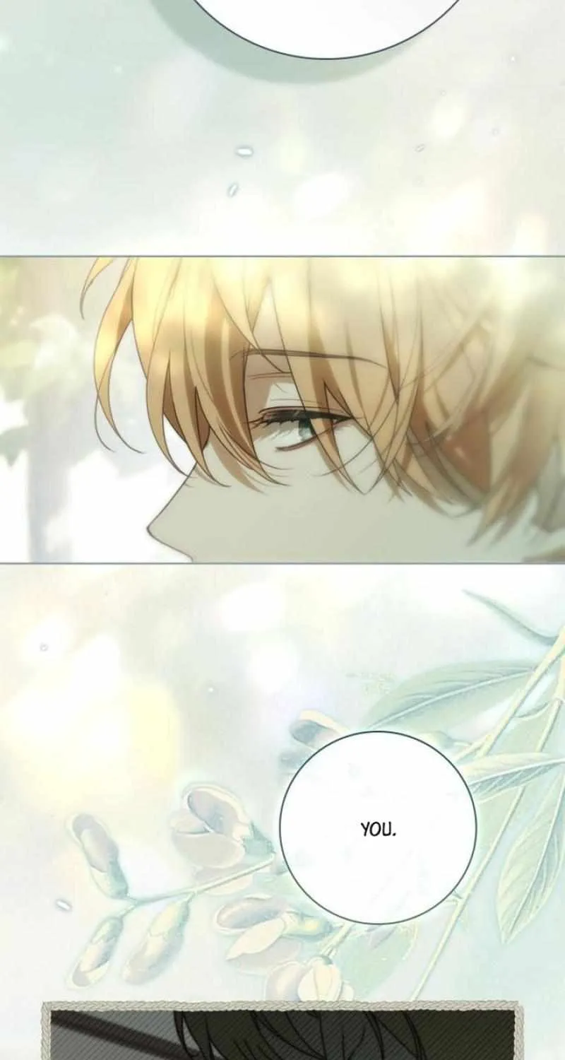 Read The Count’s Secret Maid chapter 43 image 69 on Lezhin