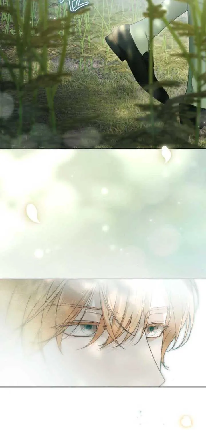 Read The Count’s Secret Maid chapter 45 image 6 on Lezhin