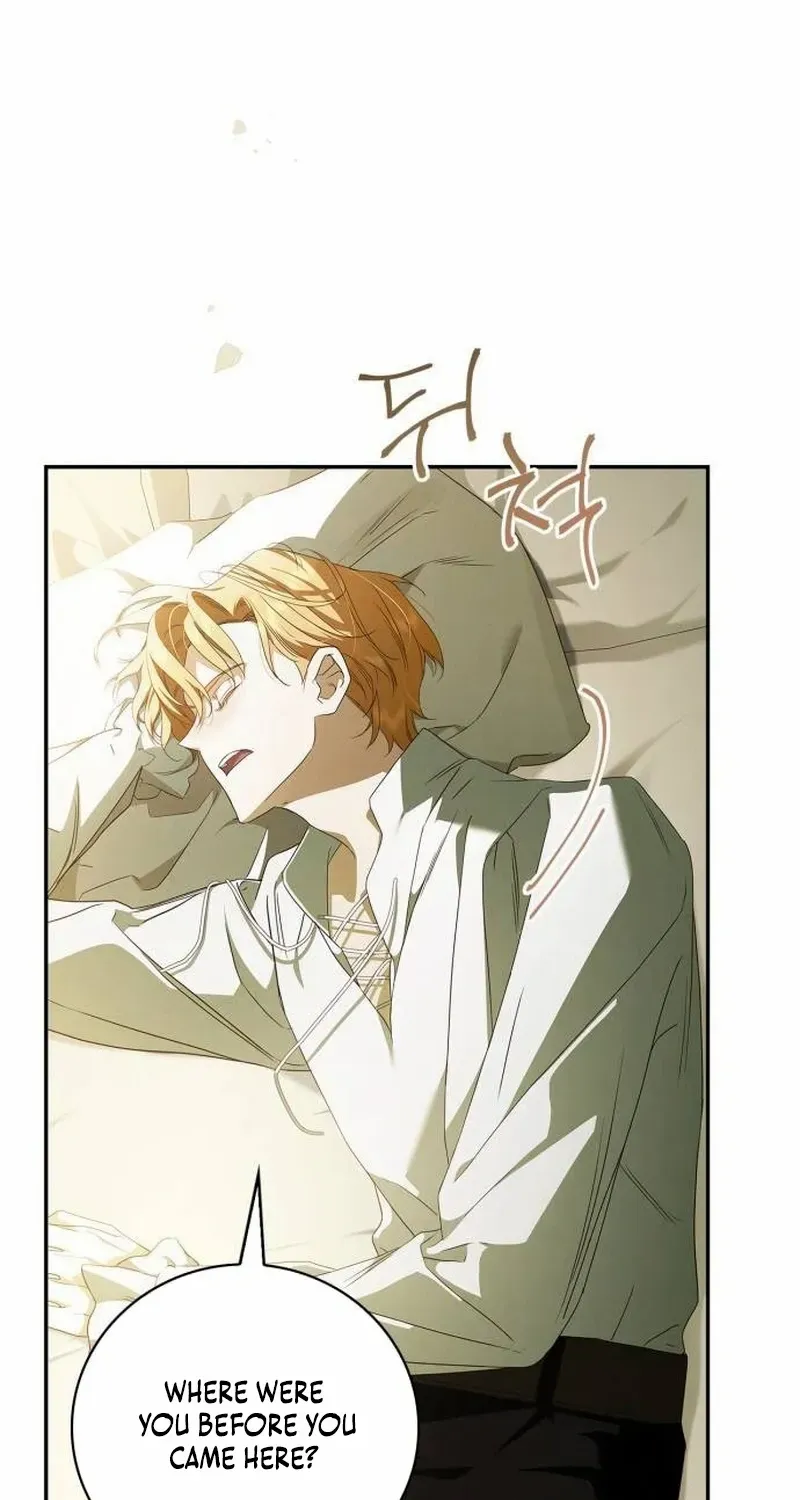 Read The Count’s Secret Maid chapter 6 image 8 on Lezhin