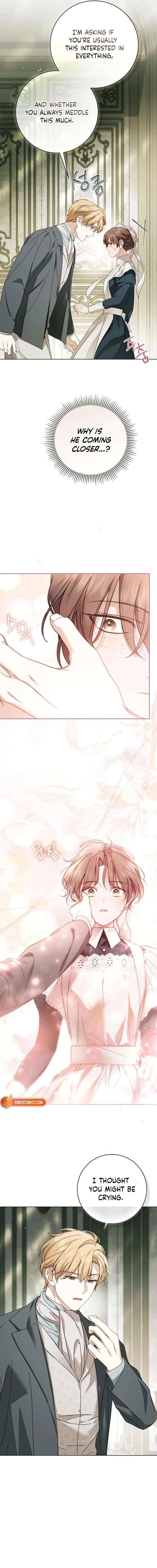 Read The Count’s Secret Maid chapter 84 image 7 on Lezhin