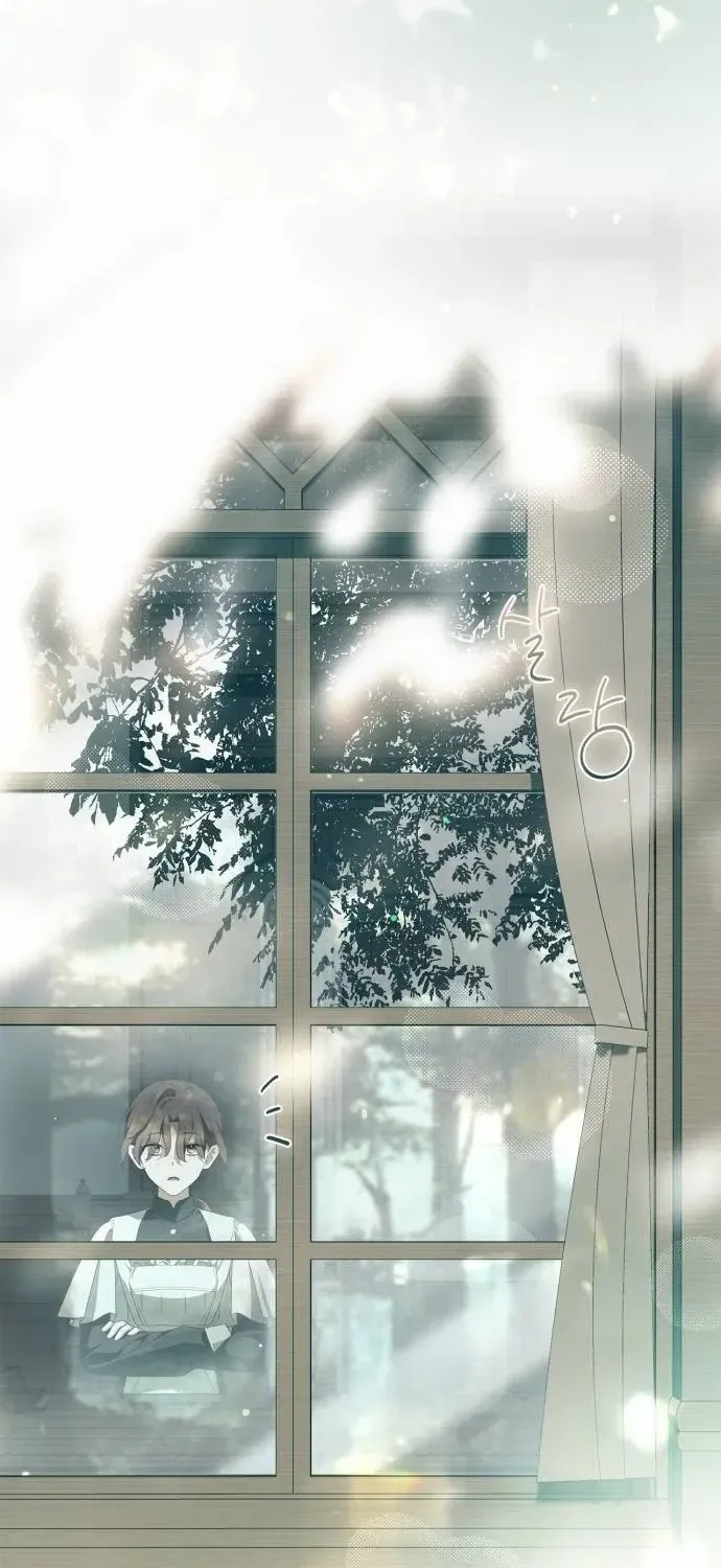 Read The Count’s Secret Maid chapter 9 image 12 on Lezhin