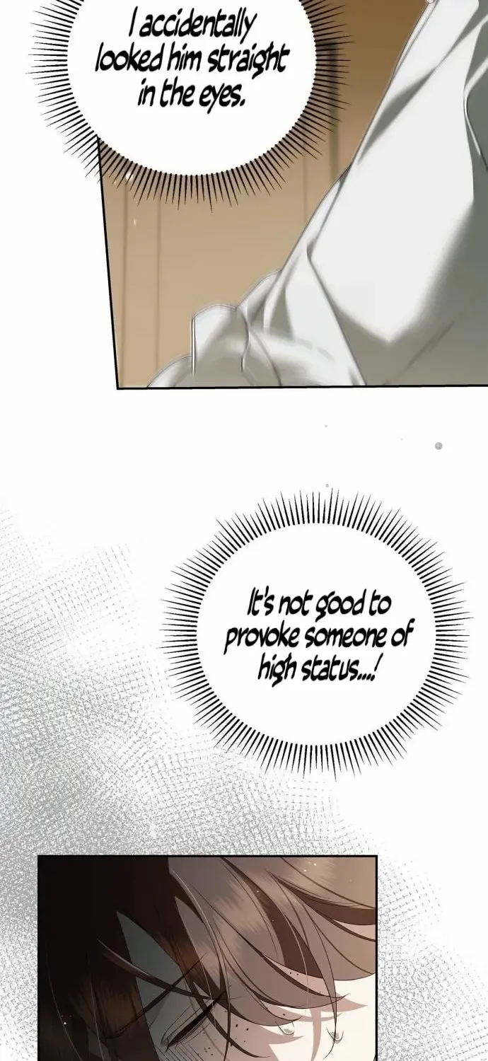 Read The Count’s Secret Maid chapter 9 image 24 on Lezhin
