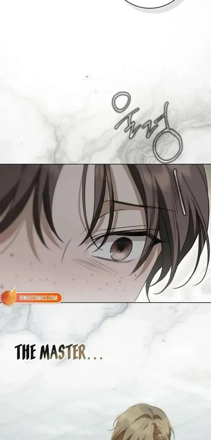 Read The Count’s Secret Maid chapter 93.2 image 68 on Lezhin