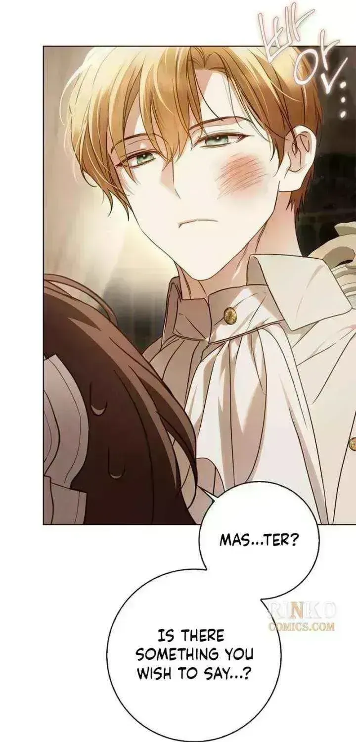 Read The Count’s Secret Maid chapter 95.4 image 85 on Lezhin