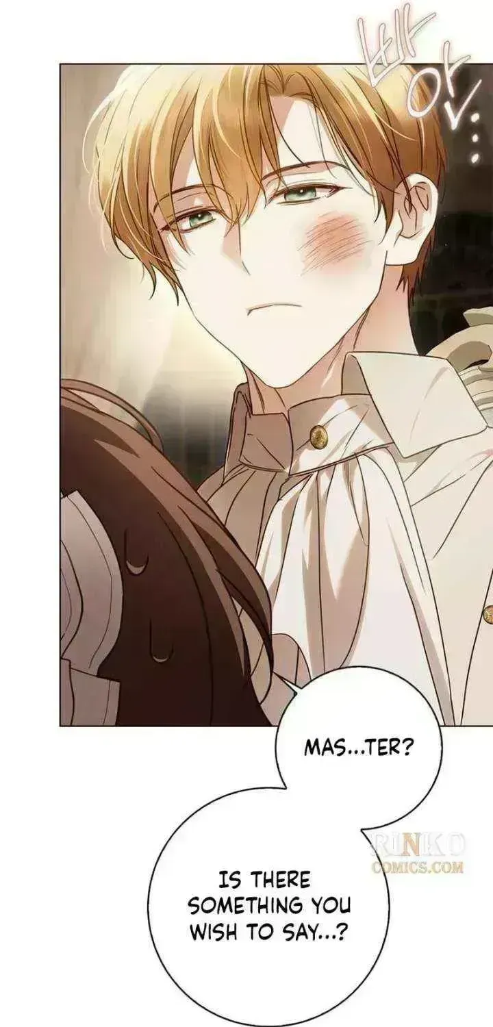 Read The Count’s Secret Maid chapter 96.1 image 85 on Lezhin