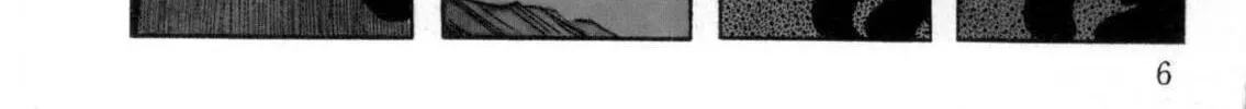 Read The Crater chapter 13 image 6 on Lezhin