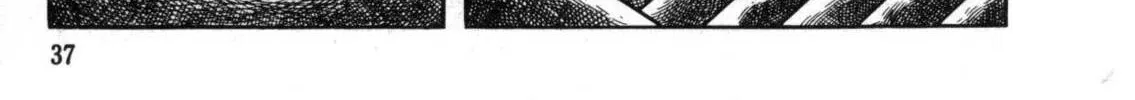 Read The Crater chapter 2 image 3 on Lezhin