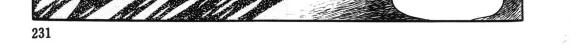 Read The Crater chapter 8 image 15 on Lezhin