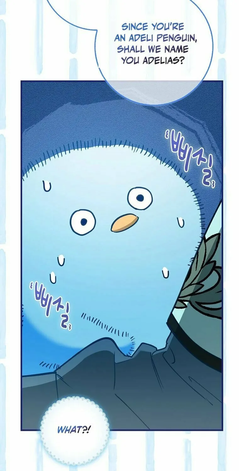 The Crazy Killer Whale's Favourite Penguin Chapter 1 page 34 - 