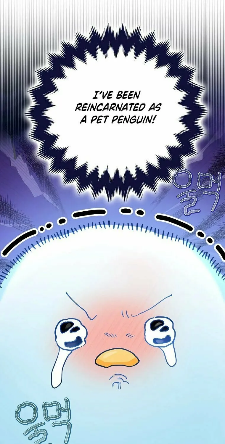 The Crazy Killer Whale's Favourite Penguin Chapter 1 page 43 - 