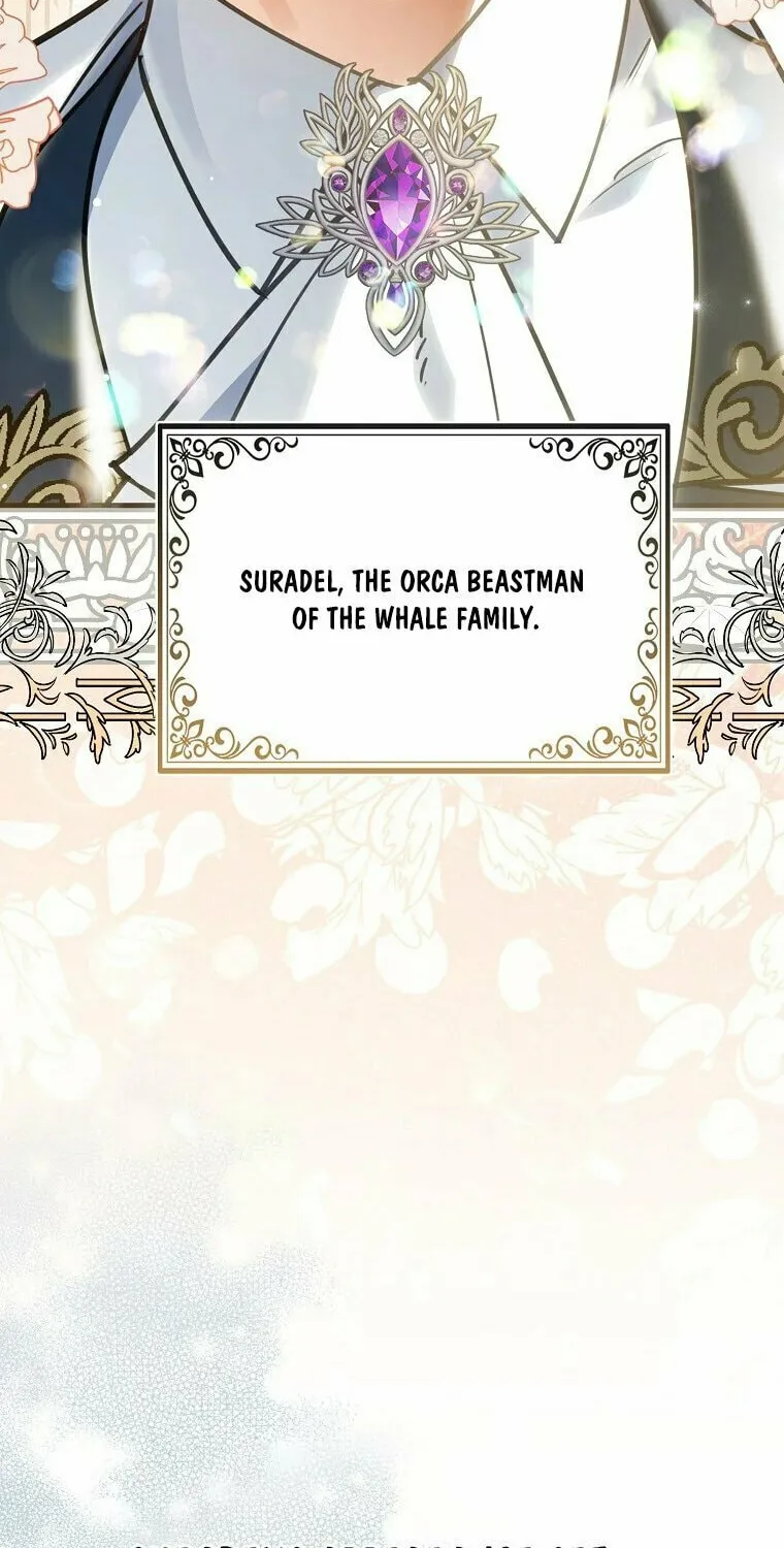 The Crazy Killer Whale's Favourite Penguin Chapter 1 page 76 - 