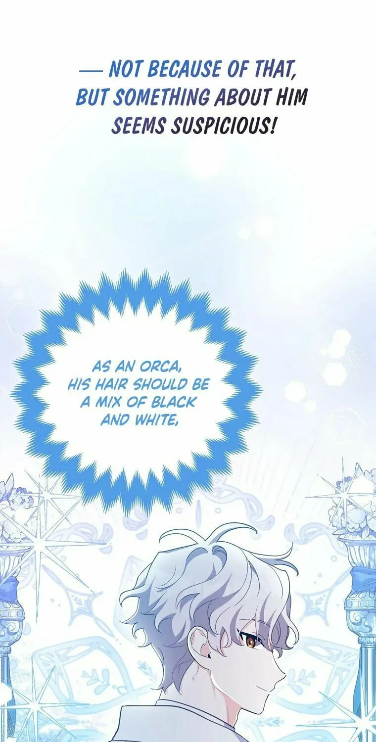The Crazy Killer Whale's Favourite Penguin Chapter 1 page 79 - 