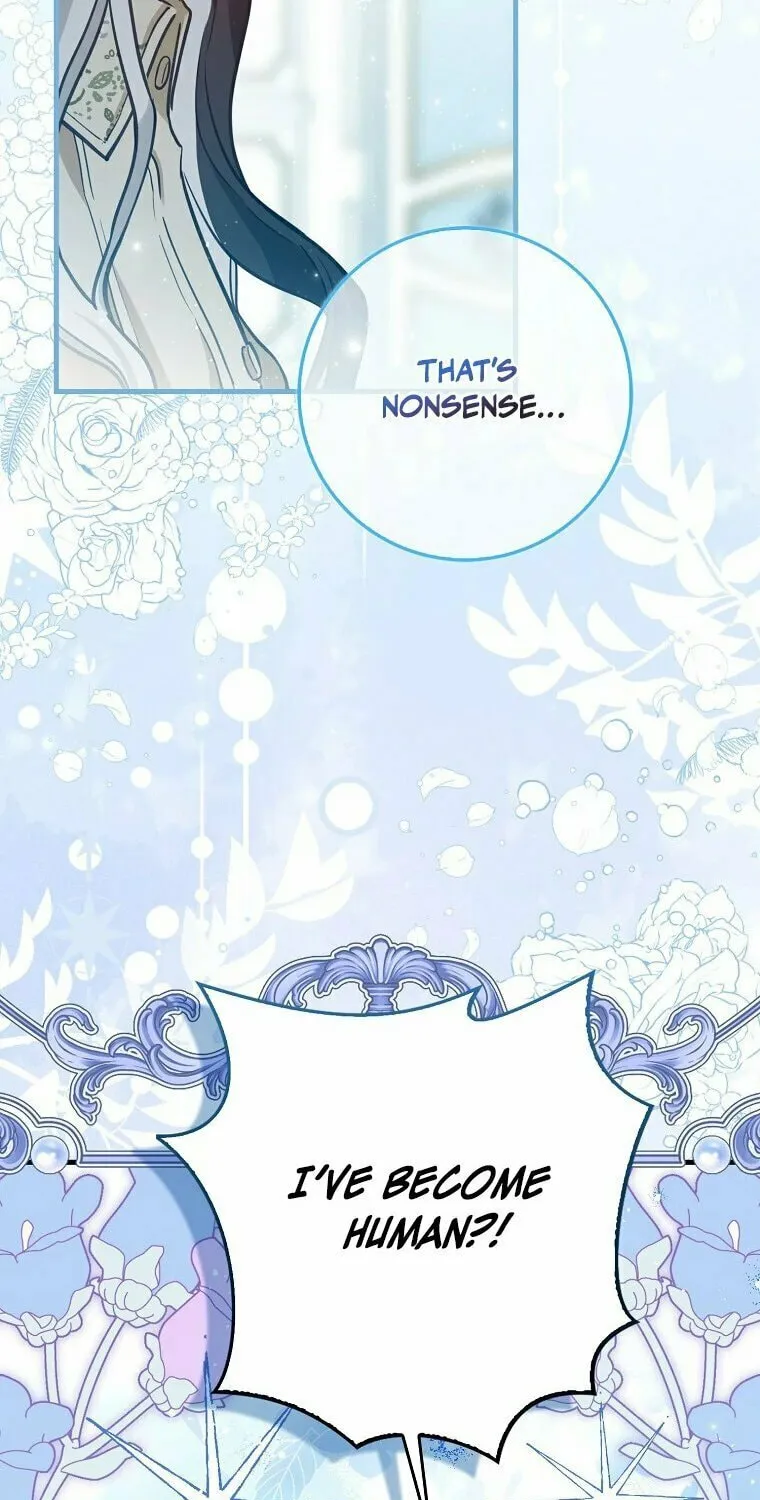The Crazy Killer Whale's Favourite Penguin Chapter 2 page 27 - 