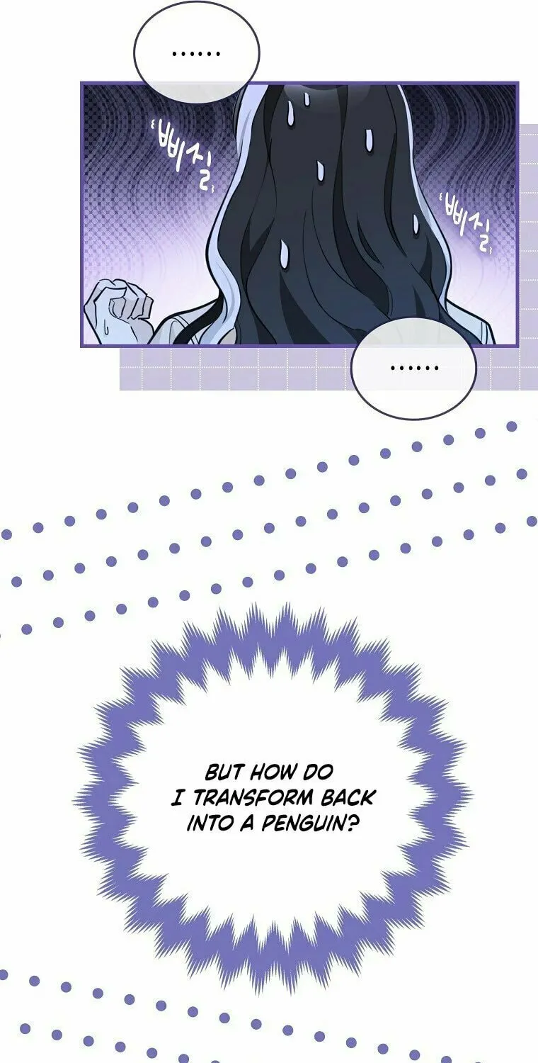 The Crazy Killer Whale's Favourite Penguin Chapter 2 page 36 - 