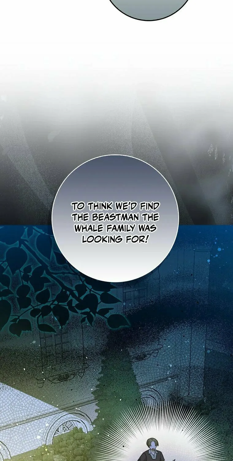 The Crazy Killer Whale's Favourite Penguin Chapter 2 page 49 - 