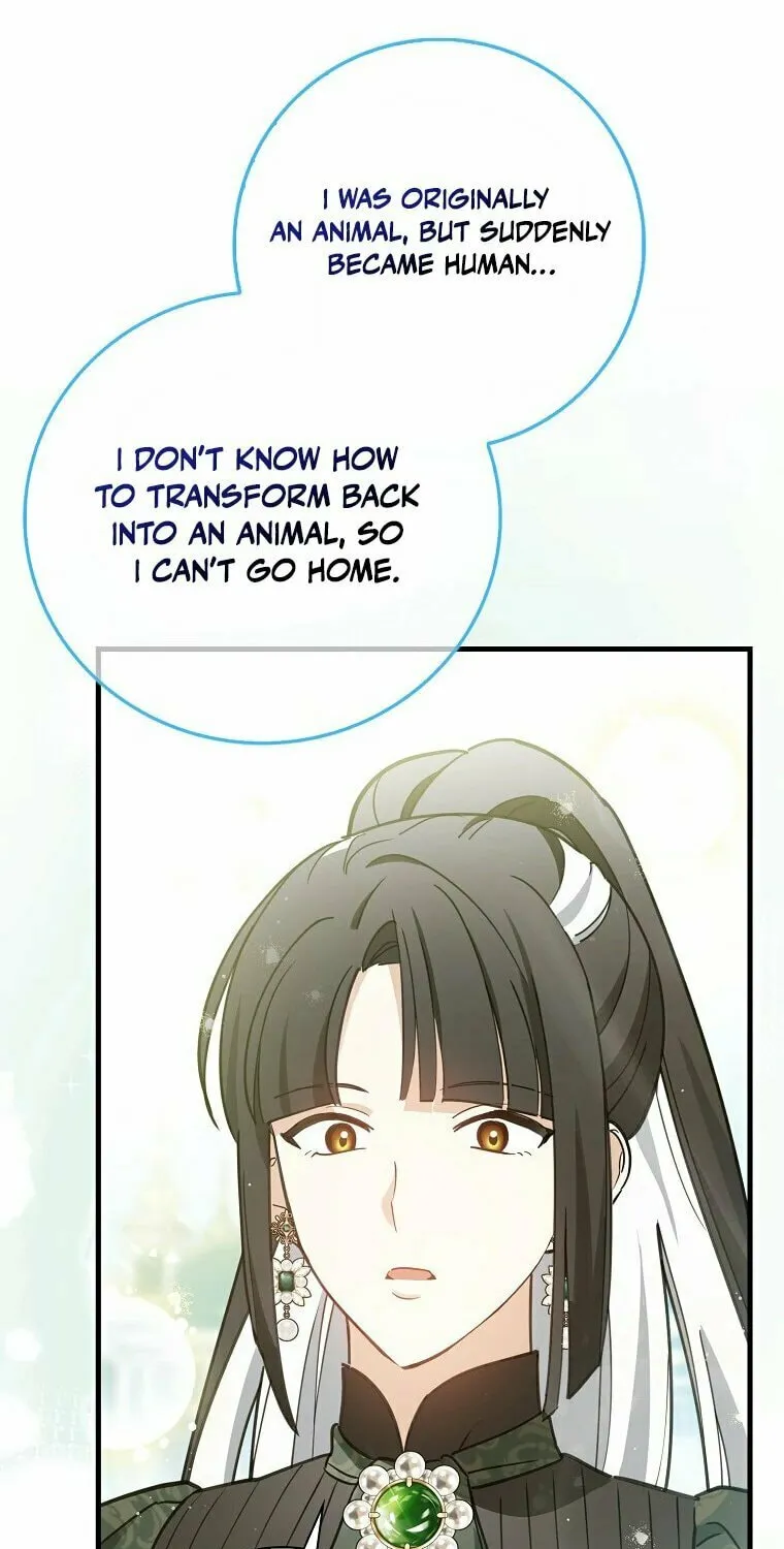 The Crazy Killer Whale's Favourite Penguin Chapter 2 page 88 - 