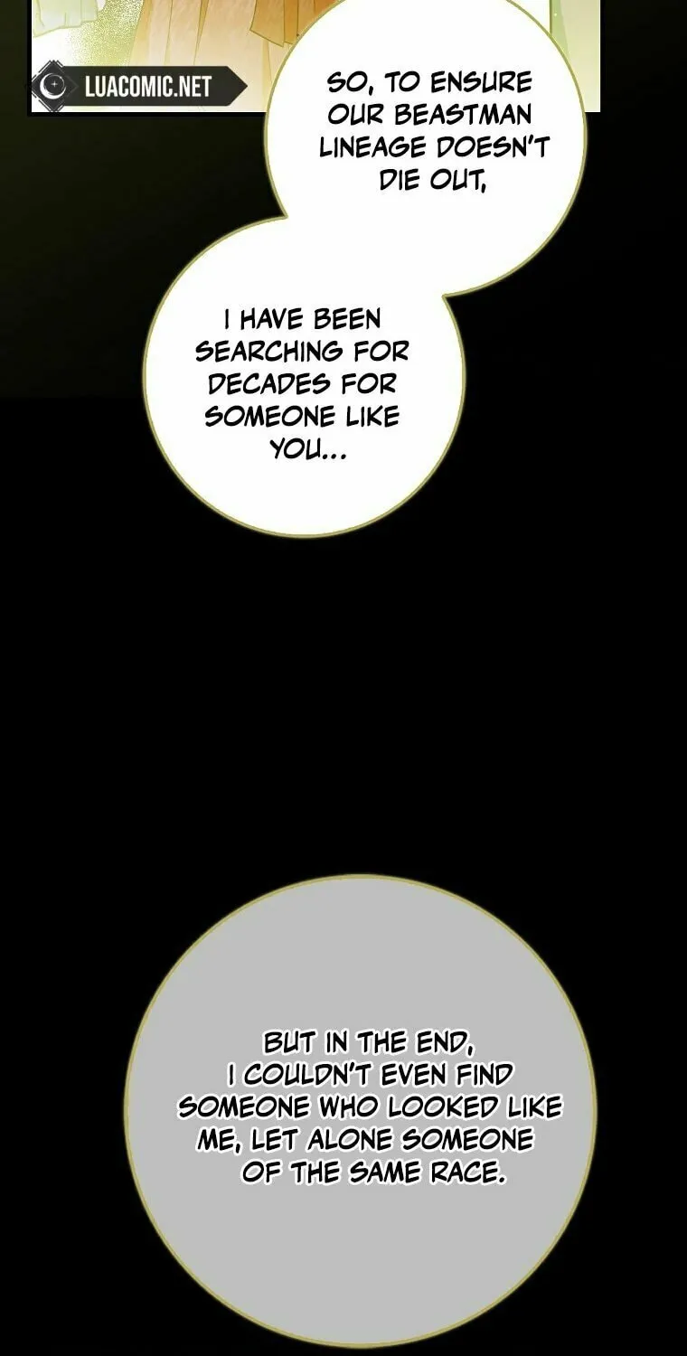 The Crazy Killer Whale's Favourite Penguin Chapter 2 page 96 - 