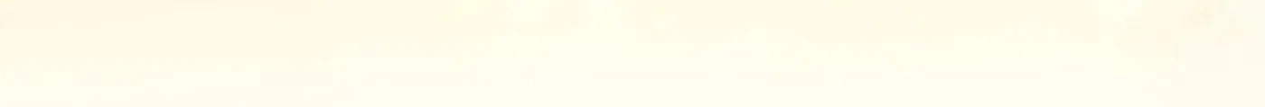The Crazy Killer Whale's Favourite Penguin Chapter 25 page 92 - 