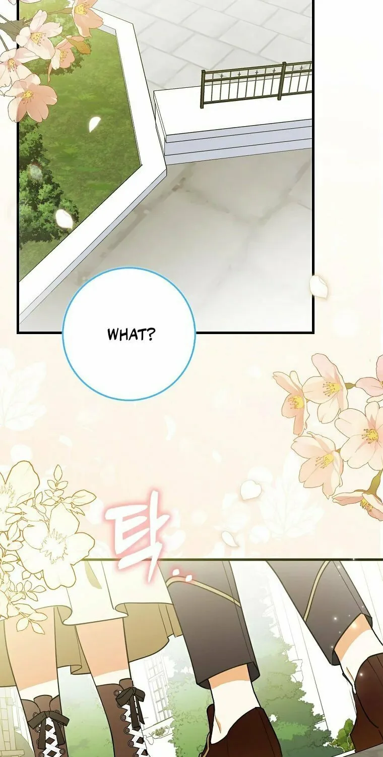 The Crazy Killer Whale's Favourite Penguin Chapter 3 page 37 - 