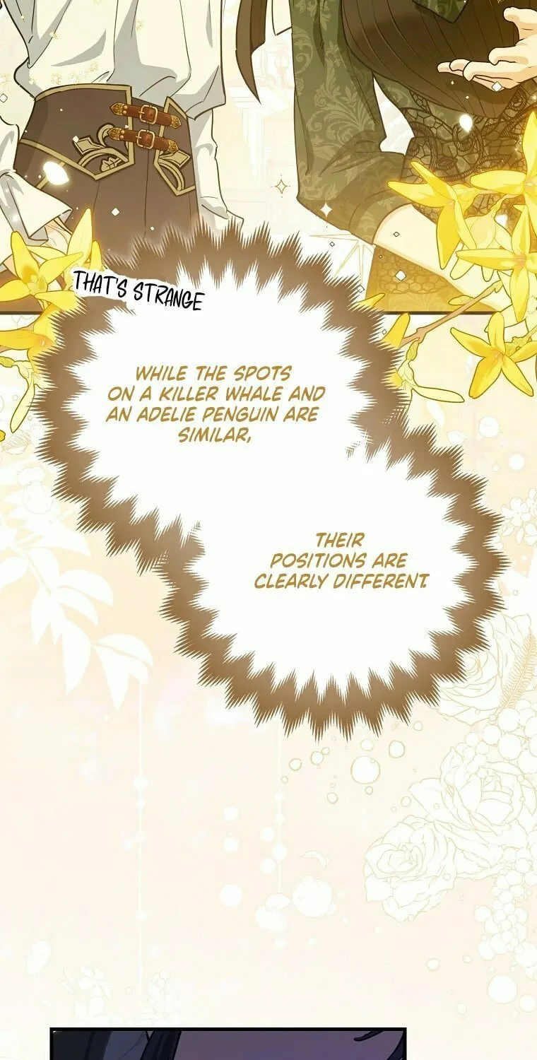 The Crazy Killer Whale's Favourite Penguin Chapter 3 page 5 - 