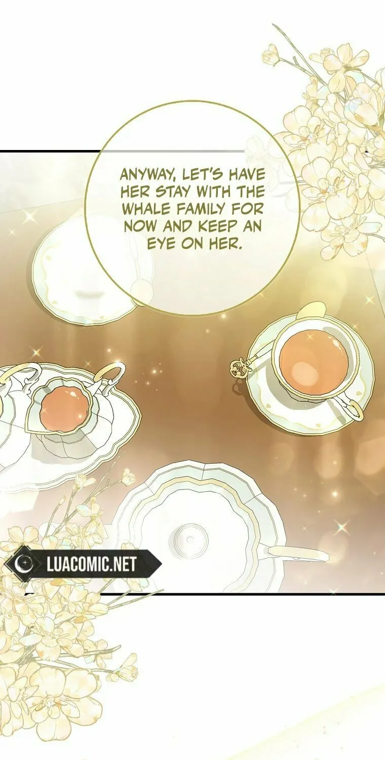 The Crazy Killer Whale's Favourite Penguin Chapter 3 page 65 - 