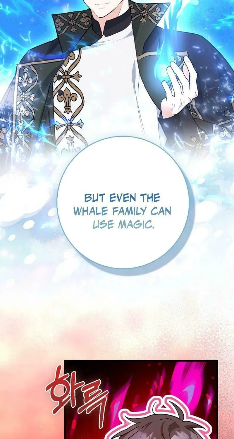 The Crazy Killer Whale's Favourite Penguin Chapter 32 page 32 - 
