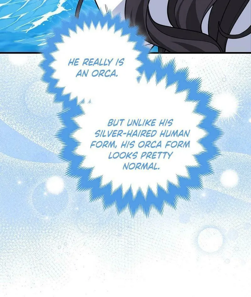 The Crazy Killer Whale's Favourite Penguin Chapter 33 page 12 - 