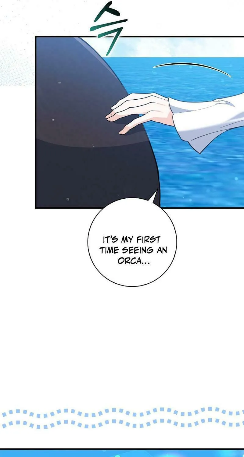 The Crazy Killer Whale's Favourite Penguin Chapter 33 page 13 - 