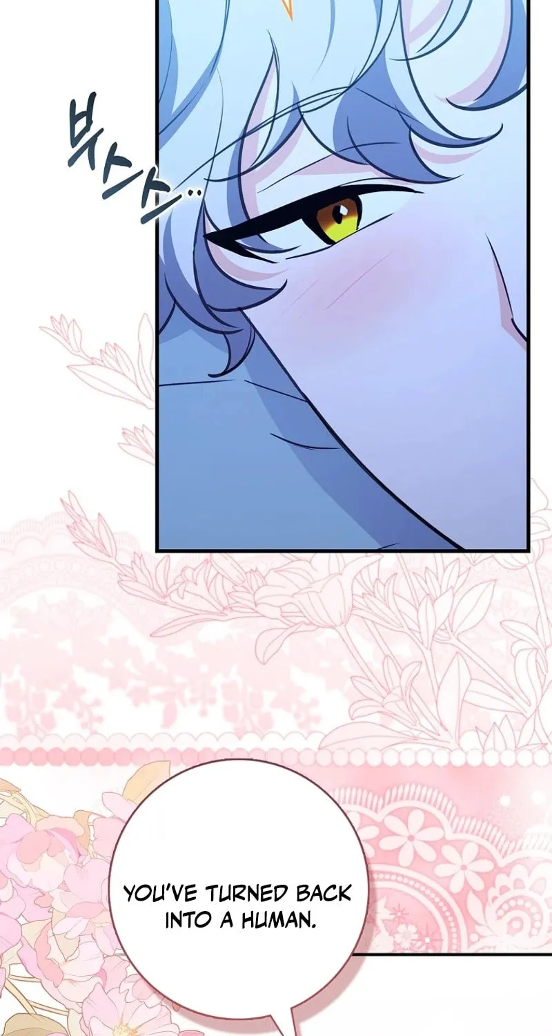 The Crazy Killer Whale's Favourite Penguin Chapter 36 page 60 - 