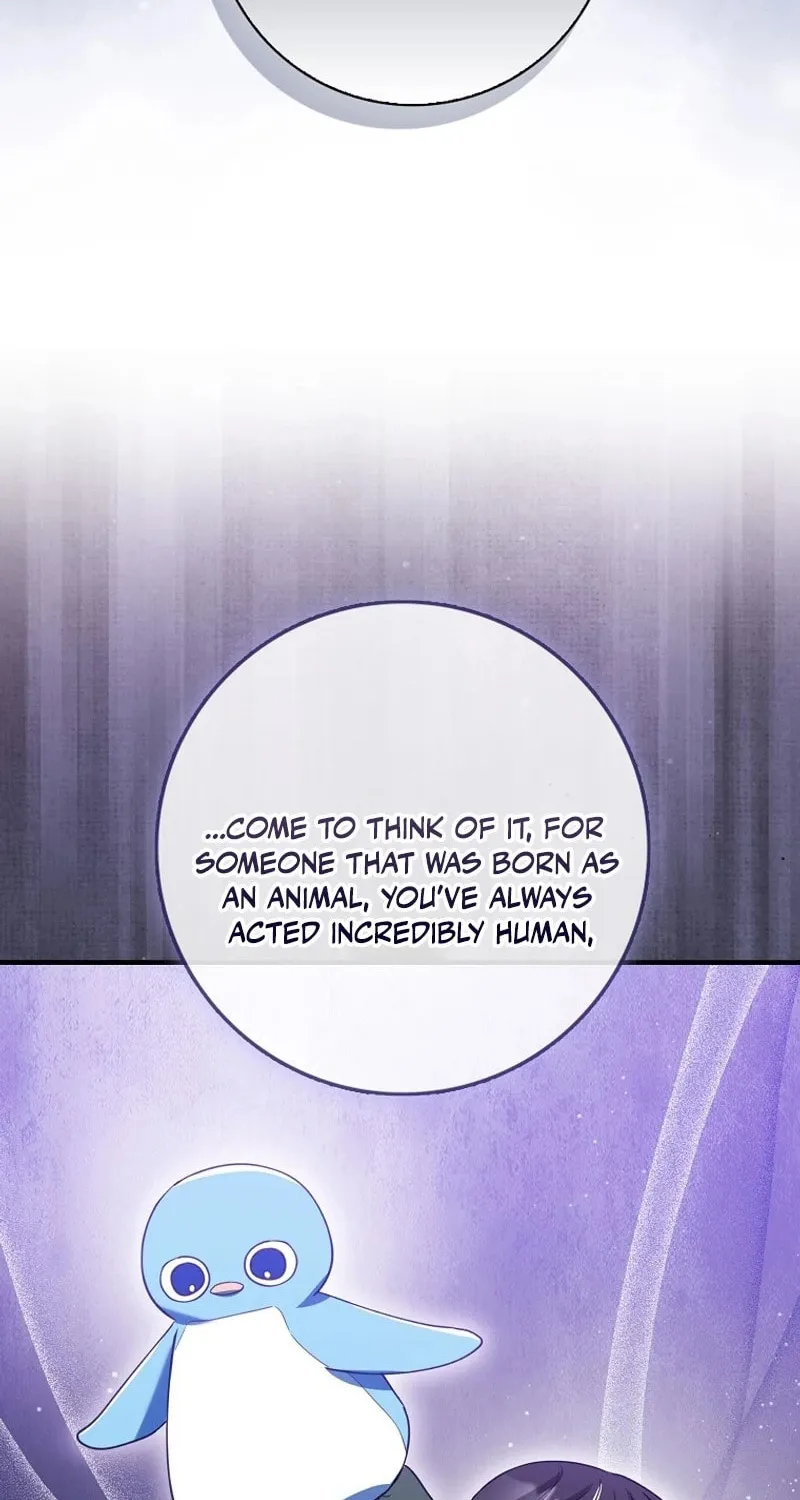 The Crazy Killer Whale's Favourite Penguin Chapter 37 page 79 - 