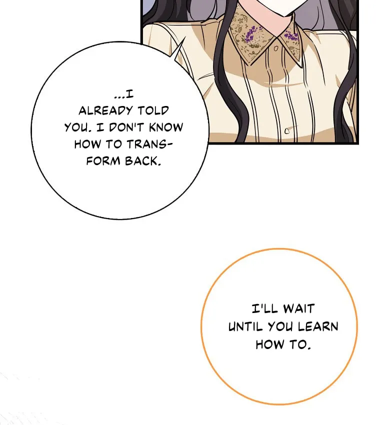 The Crazy Killer Whale's Favourite Penguin Chapter 4 page 78 - 