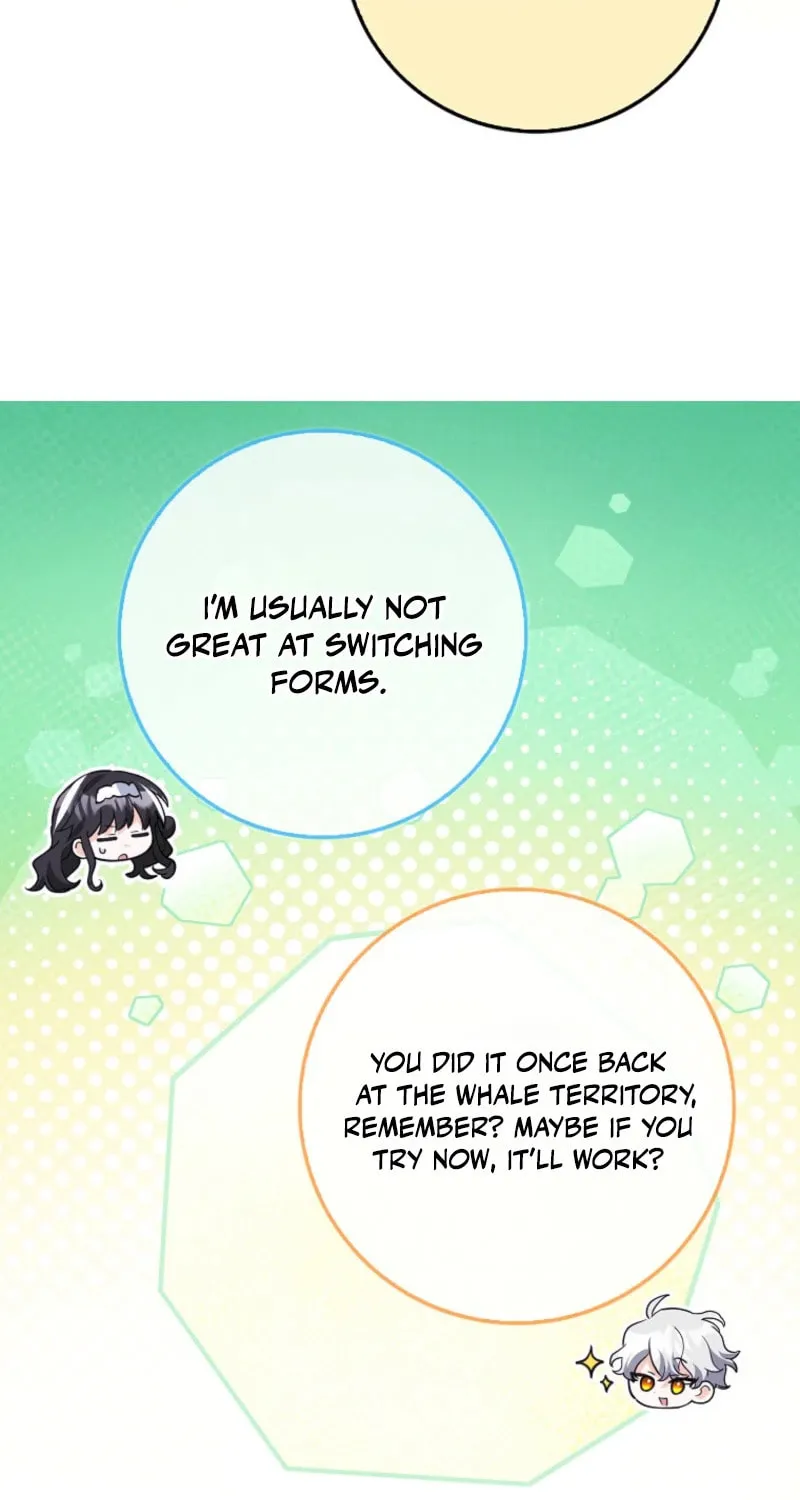 The Crazy Killer Whale's Favourite Penguin Chapter 43 page 24 - 