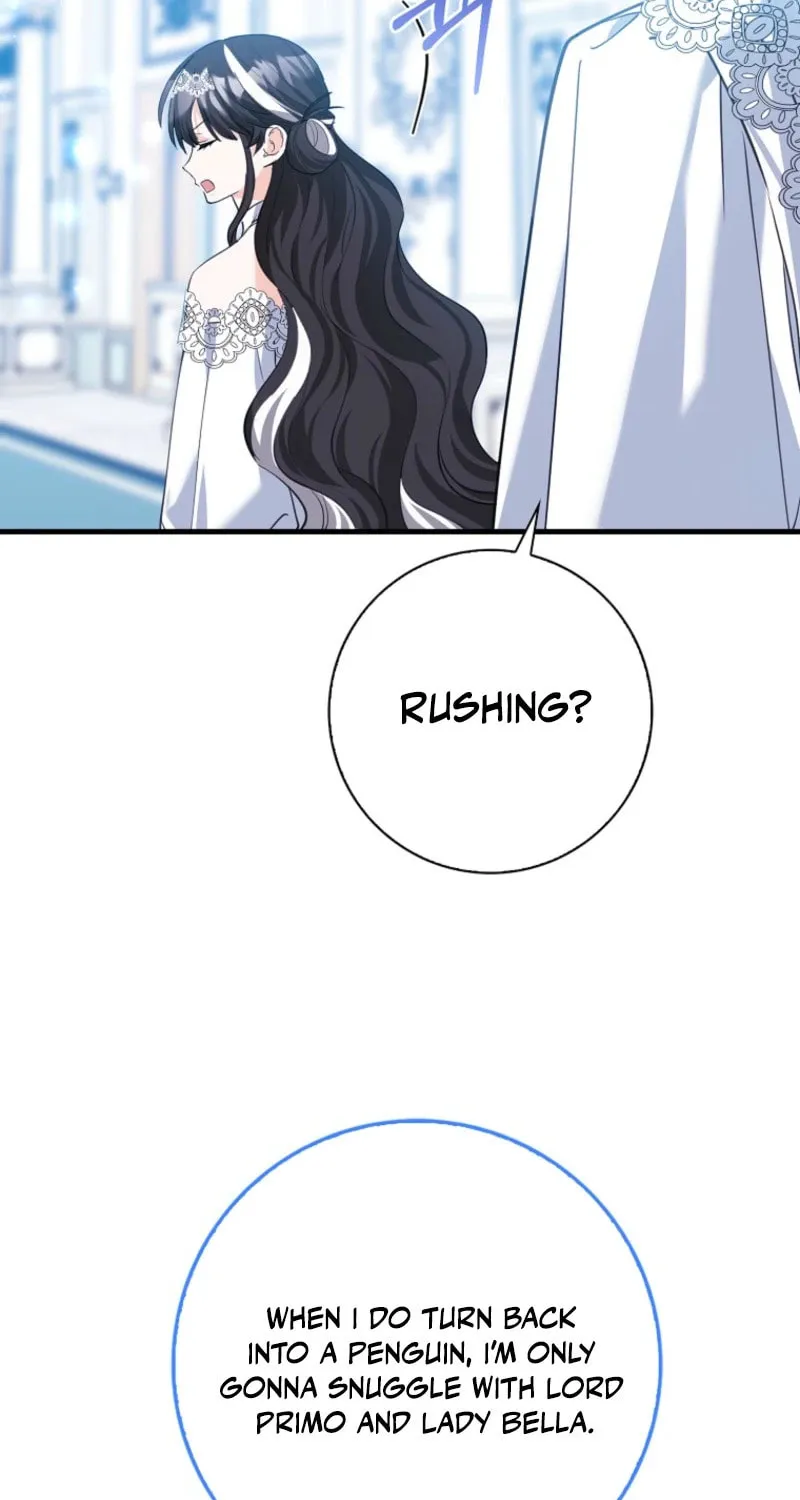 The Crazy Killer Whale's Favourite Penguin Chapter 43 page 28 - 