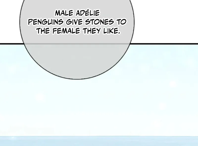 The Crazy Killer Whale's Favourite Penguin Chapter 43 page 39 - 