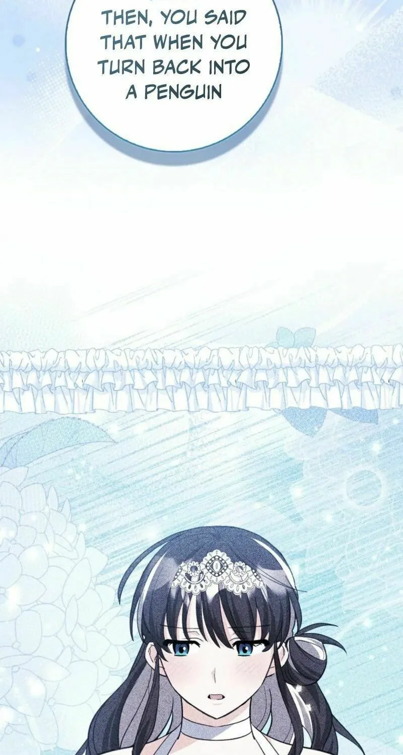 The Crazy Killer Whale's Favourite Penguin Chapter 45 page 71 - 