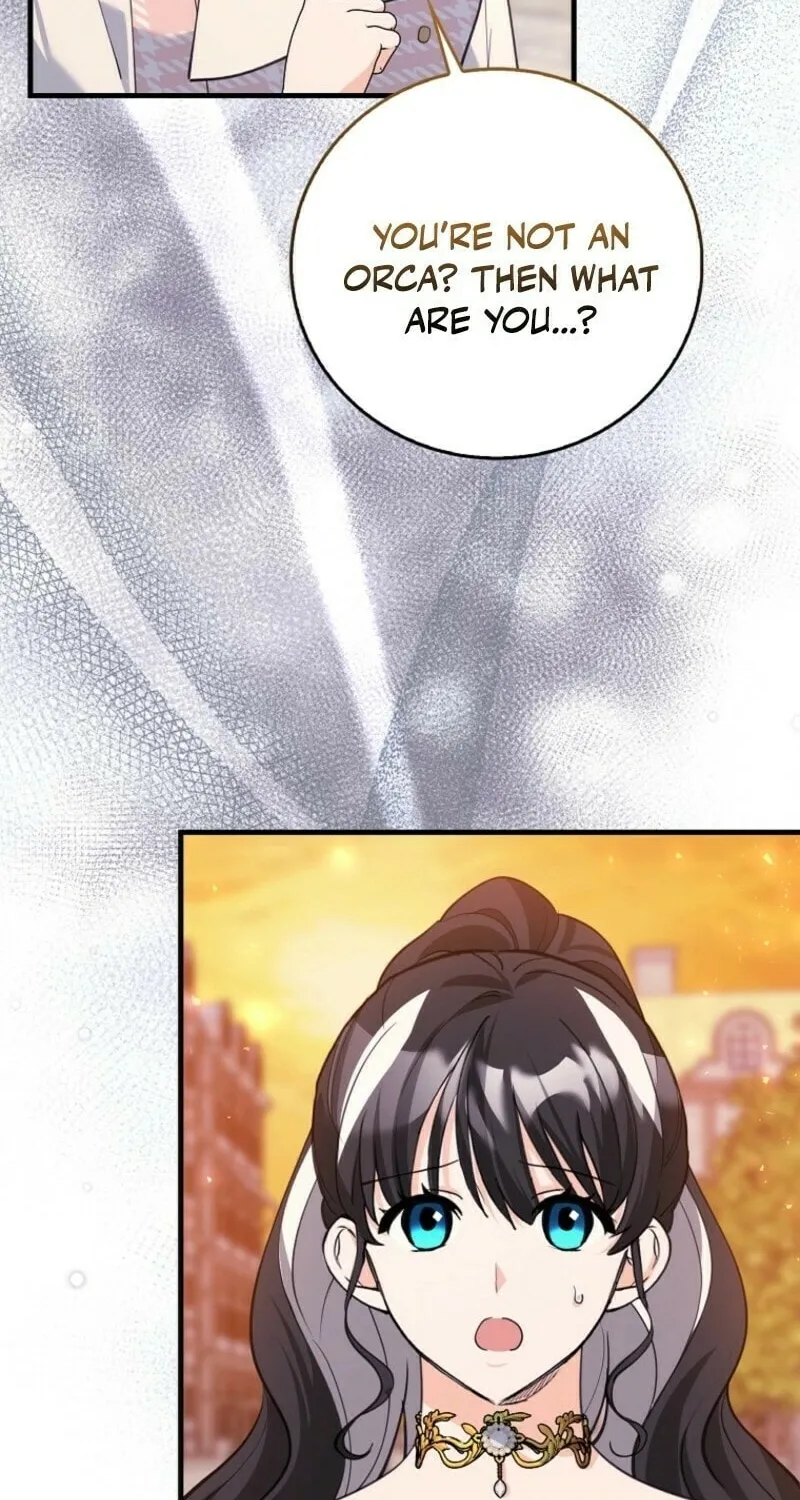 The Crazy Killer Whale's Favourite Penguin Chapter 47 page 24 - 