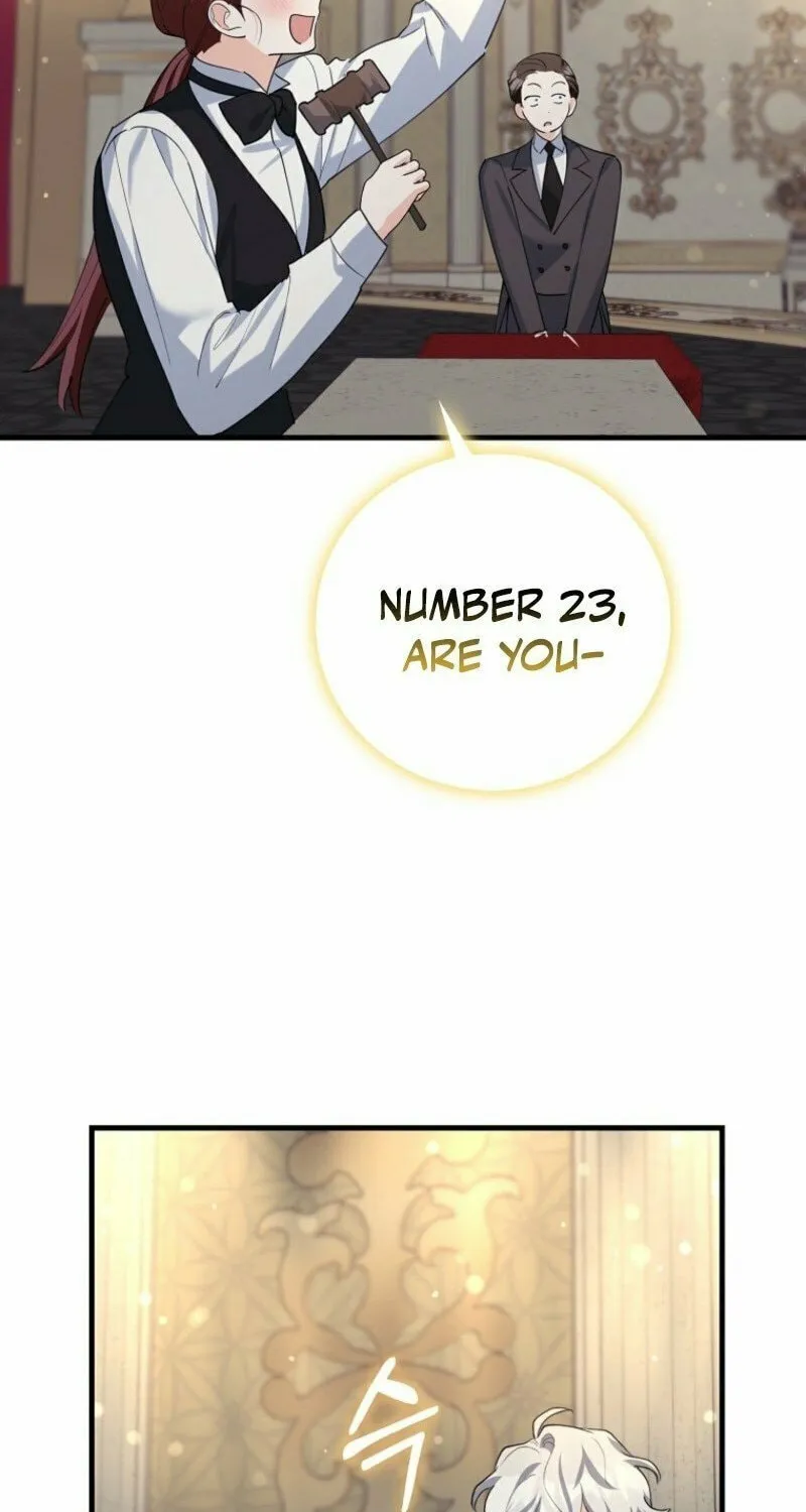 The Crazy Killer Whale's Favourite Penguin Chapter 49 page 14 - 