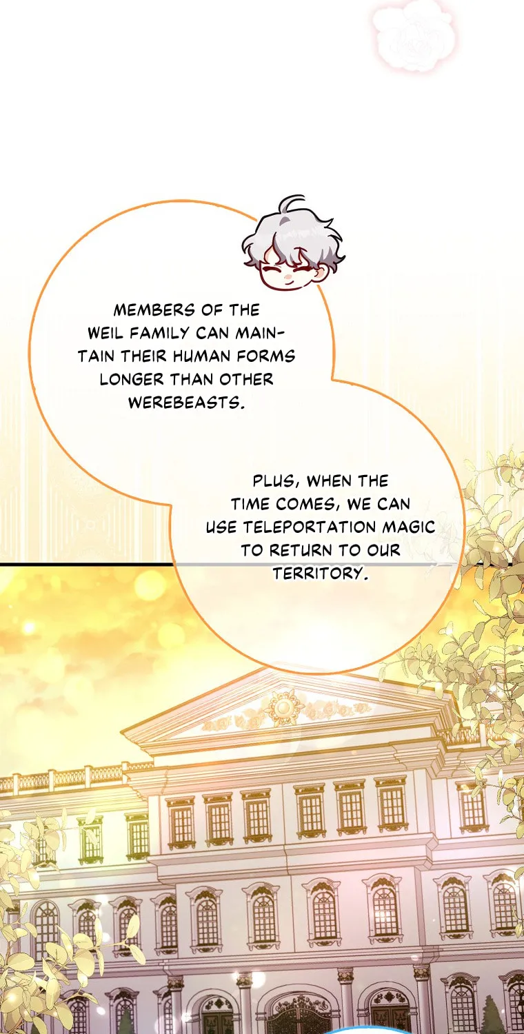The Crazy Killer Whale's Favourite Penguin Chapter 5 page 12 - 