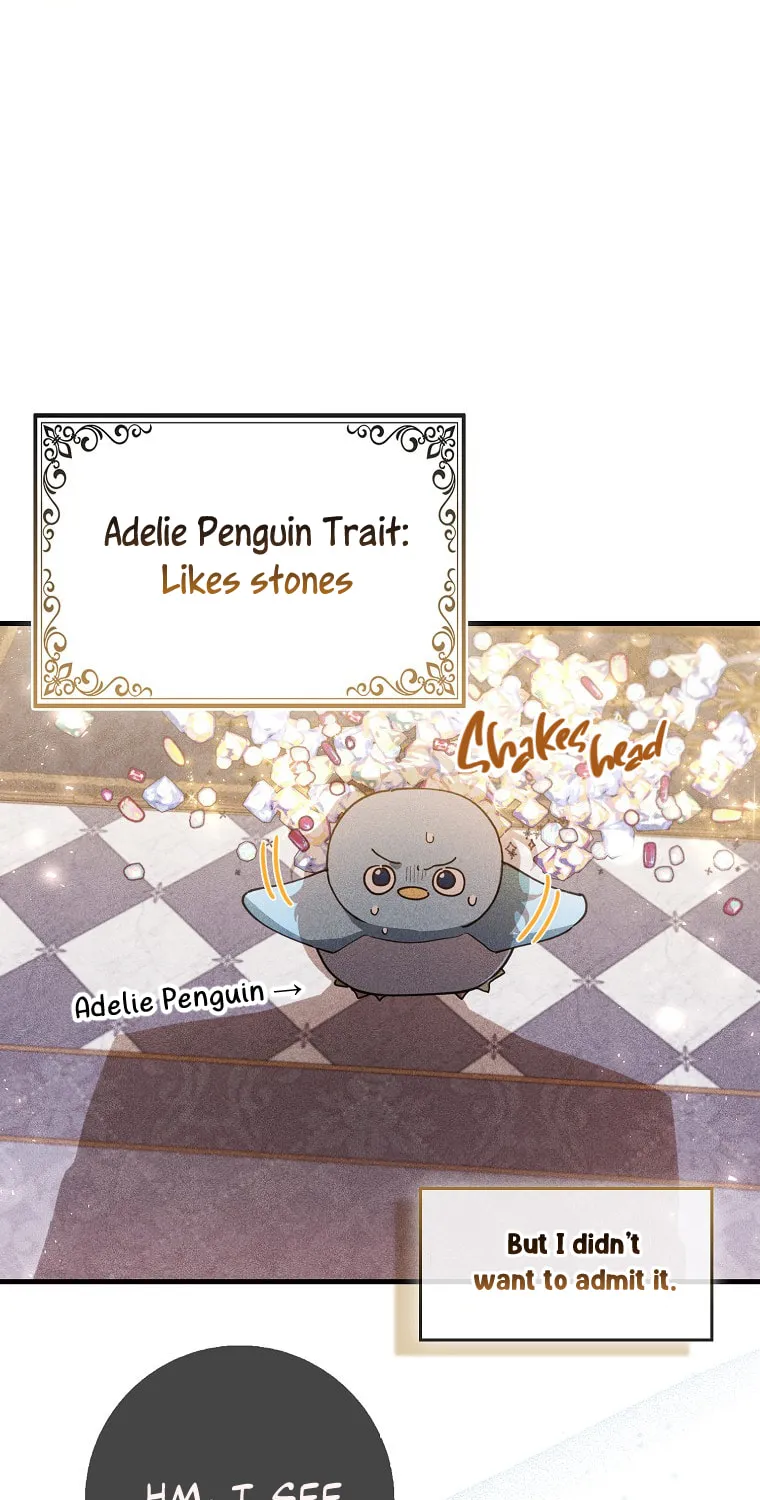 The Crazy Killer Whale's Favourite Penguin Chapter 5 page 74 - 
