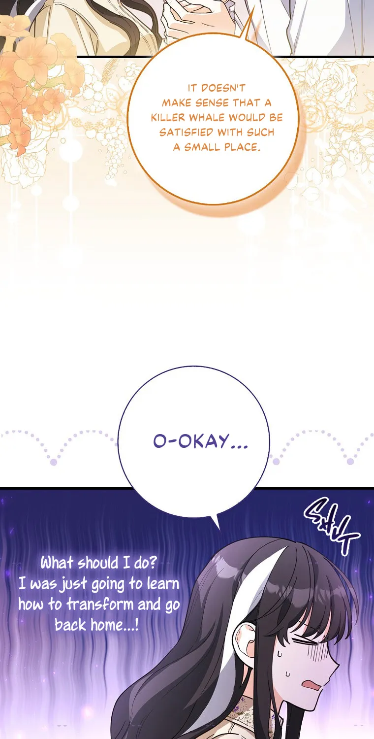The Crazy Killer Whale's Favourite Penguin Chapter 5 page 9 - 