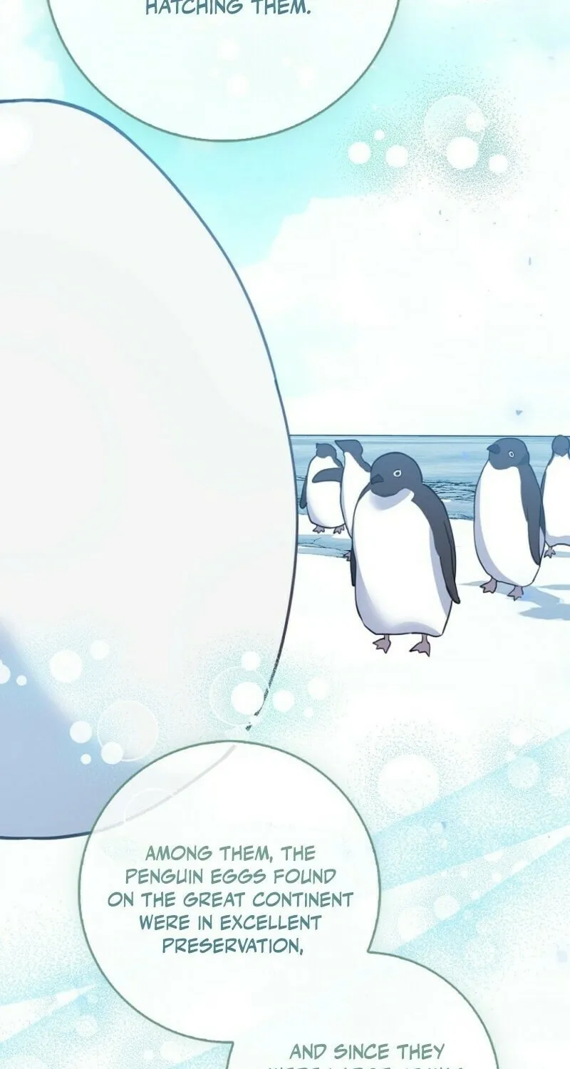 The Crazy Killer Whale's Favourite Penguin Chapter 55 page 25 - 