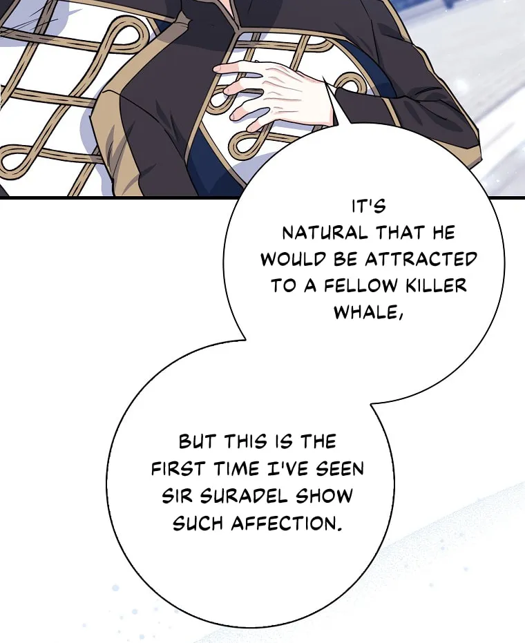 The Crazy Killer Whale's Favourite Penguin Chapter 7 page 71 - 
