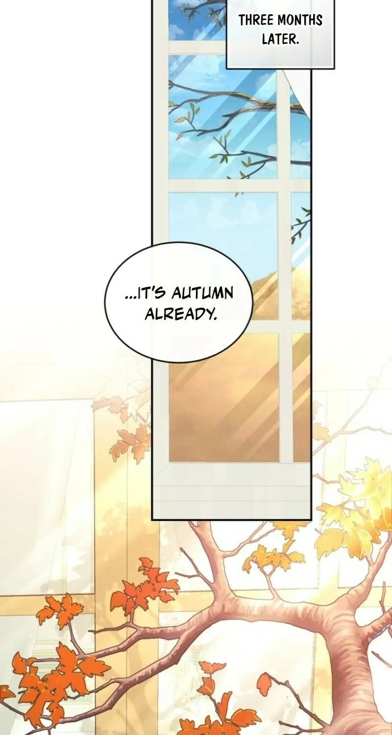 The Crimson Lady Chapter 110 page 38 - 