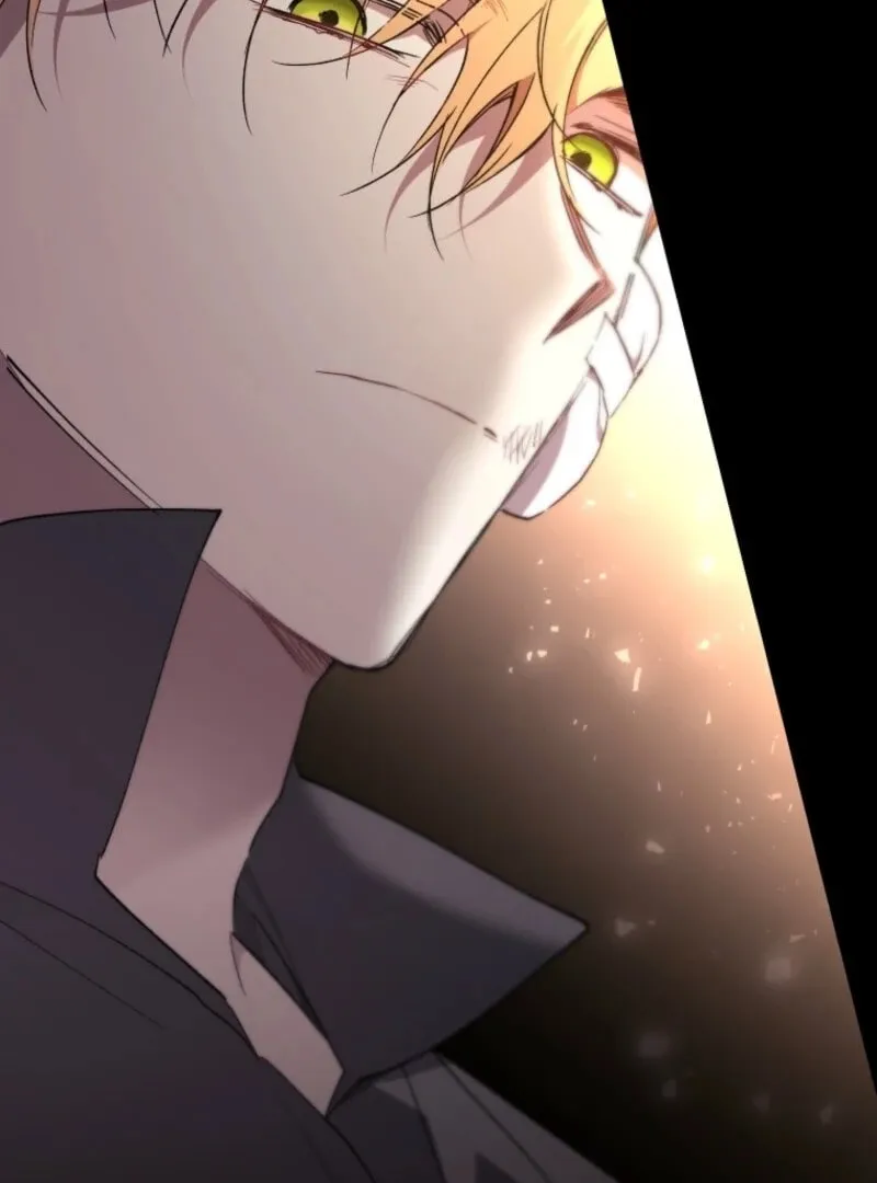 The Crimson Lady Chapter 116 page 94 - 