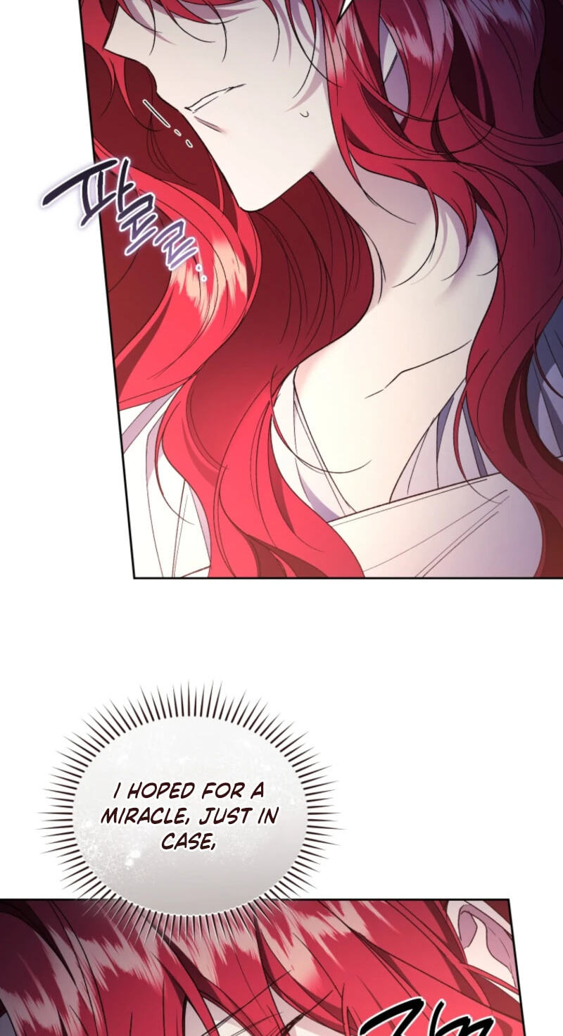 The Crimson Lady Chapter 147 page 25 - 