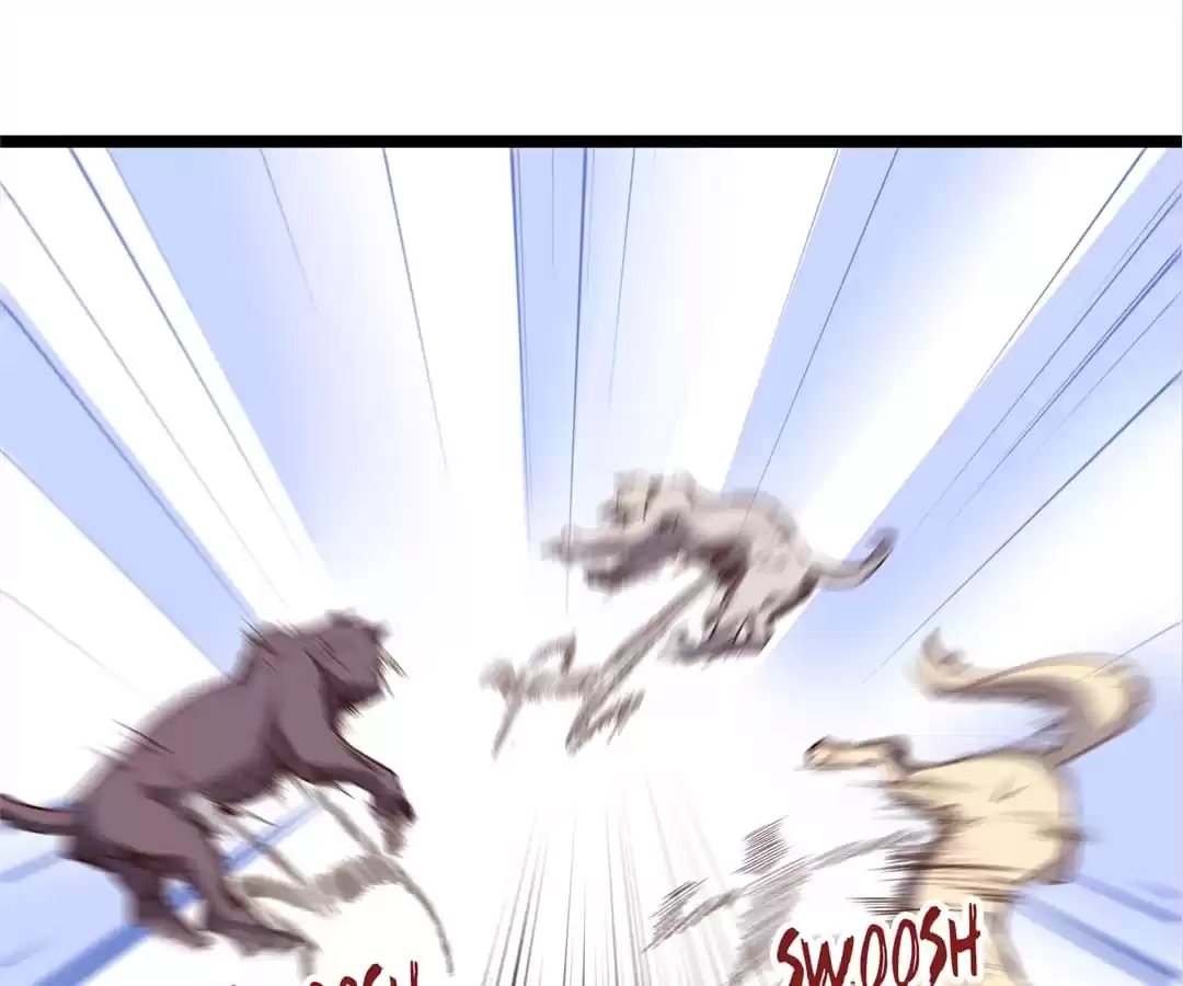 Read The Crouching Tiger chapter 10 image 33 on Lezhin