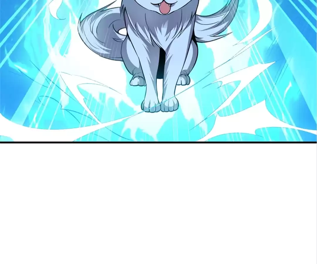 Read The Crouching Tiger chapter 151 image 19 on Lezhin