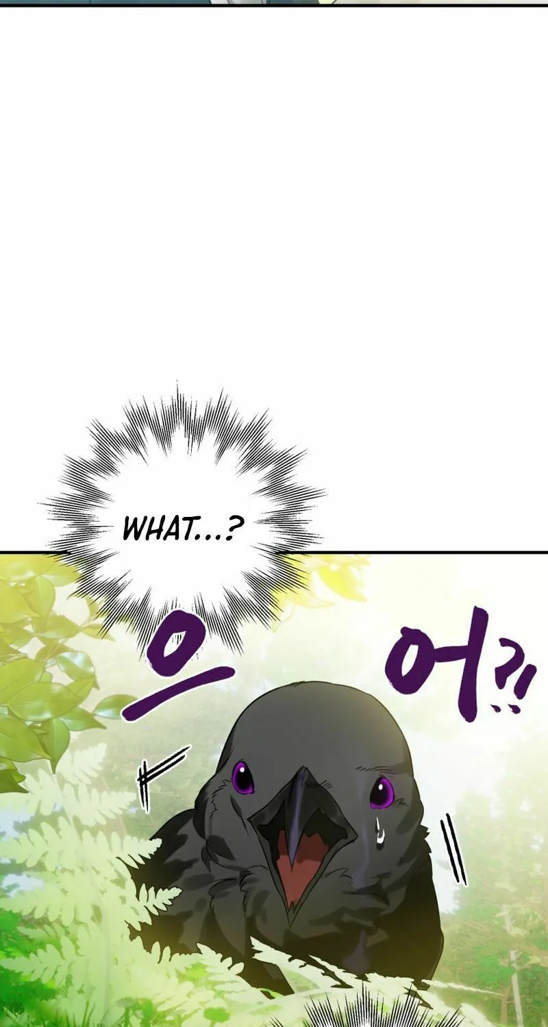 Read The Crow