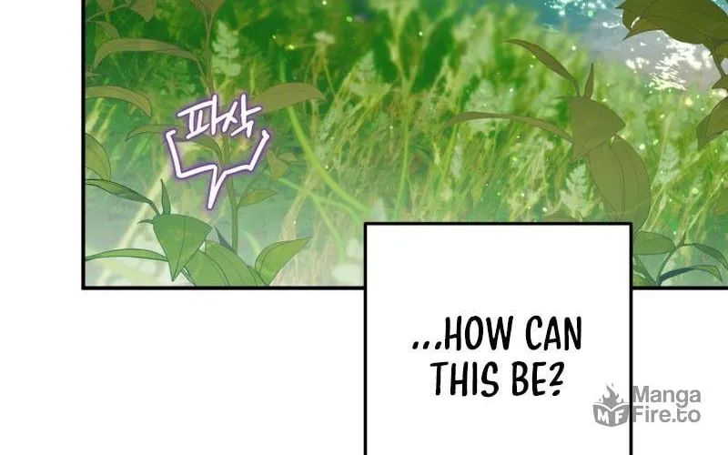 Read The Crow